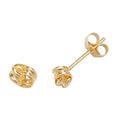 9ct Yellow Gold Earrings