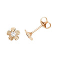 9ct Yellow Gold Earrings