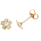 9ct Yellow Gold Earrings