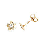 9ct Yellow Gold Earrings
