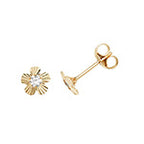 9ct Yellow Gold Earrings
