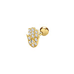 9ct Yellow Gold Earrings