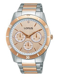 Ladies Lorus Just Sparkle Watch RP602CX9